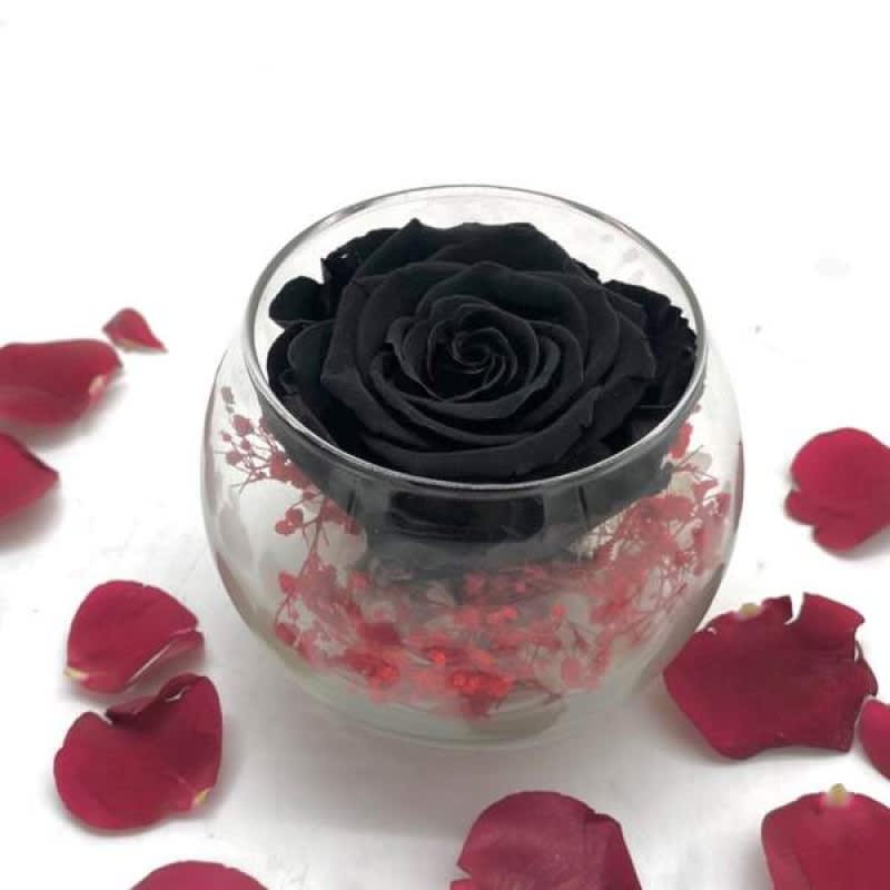 Reflet Noir Passion